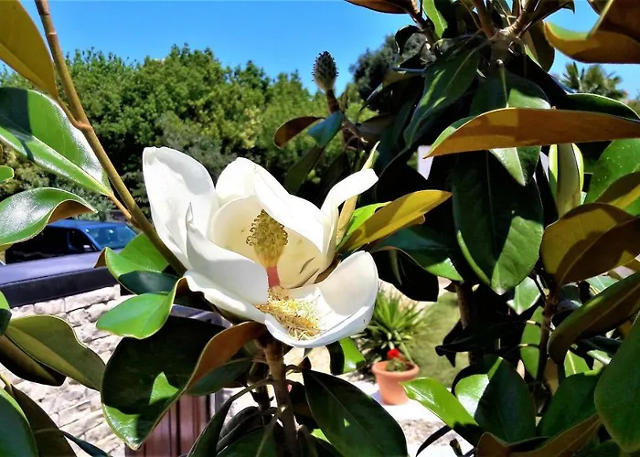 Διαμέρισμα Ena *